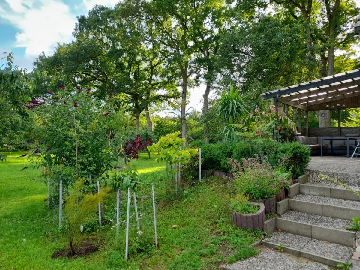 Haus Wald Und Wiese Wohnung Wald Ehndorf ภายนอก รูปภาพ