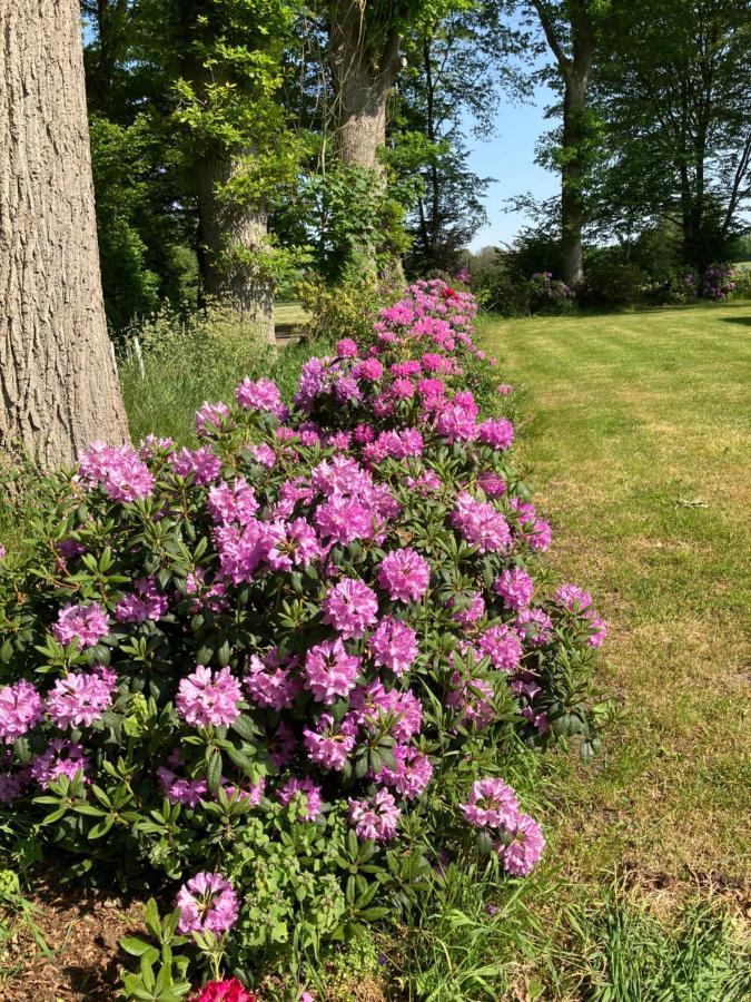 Haus Wald Und Wiese Wohnung Wald Ehndorf ภายนอก รูปภาพ